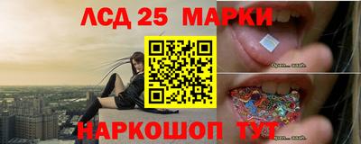 гашик Кинель
