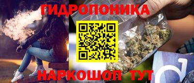 гашик Кинель